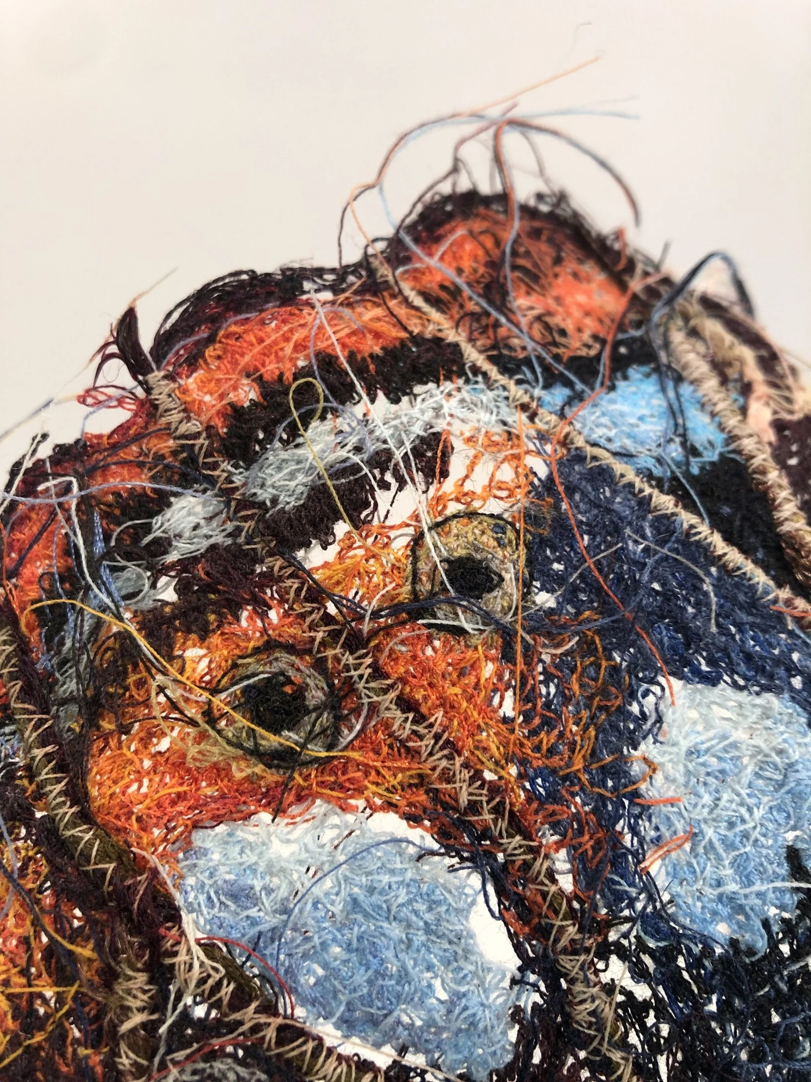 Myscelia cyaniris detail.2.JPG