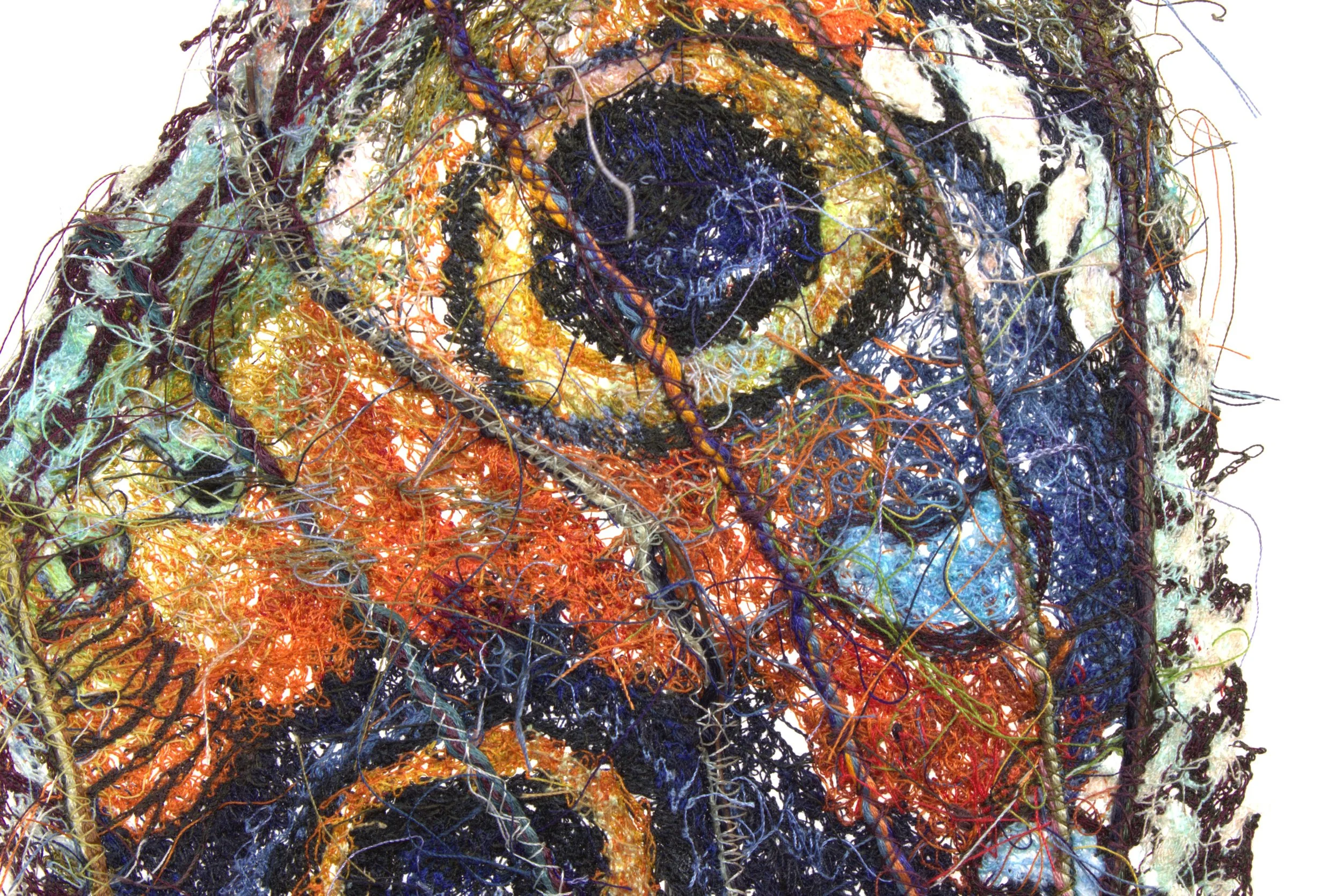 Carola van Dyke Plexus Metaporphosis 3.jpg