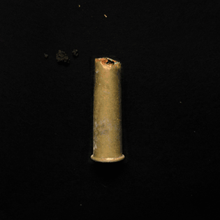 post8---fossilgif1.gif