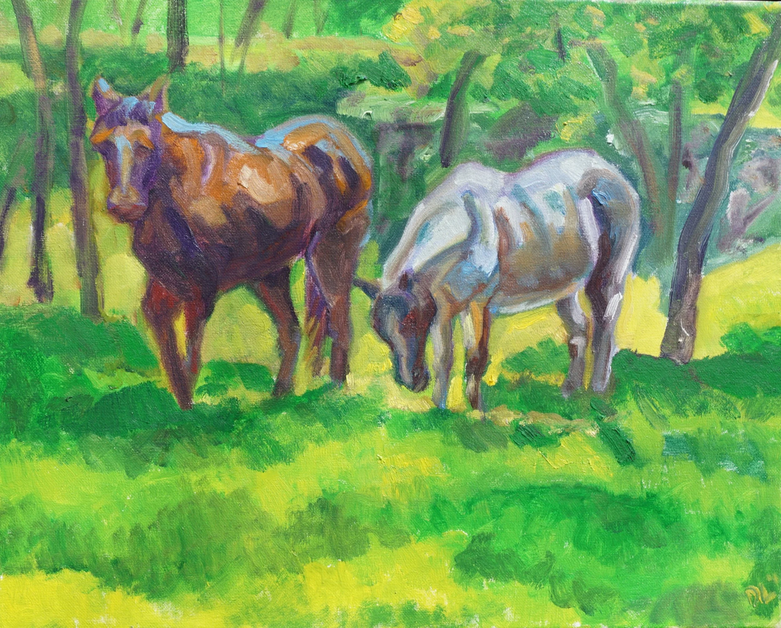 By the Meadow