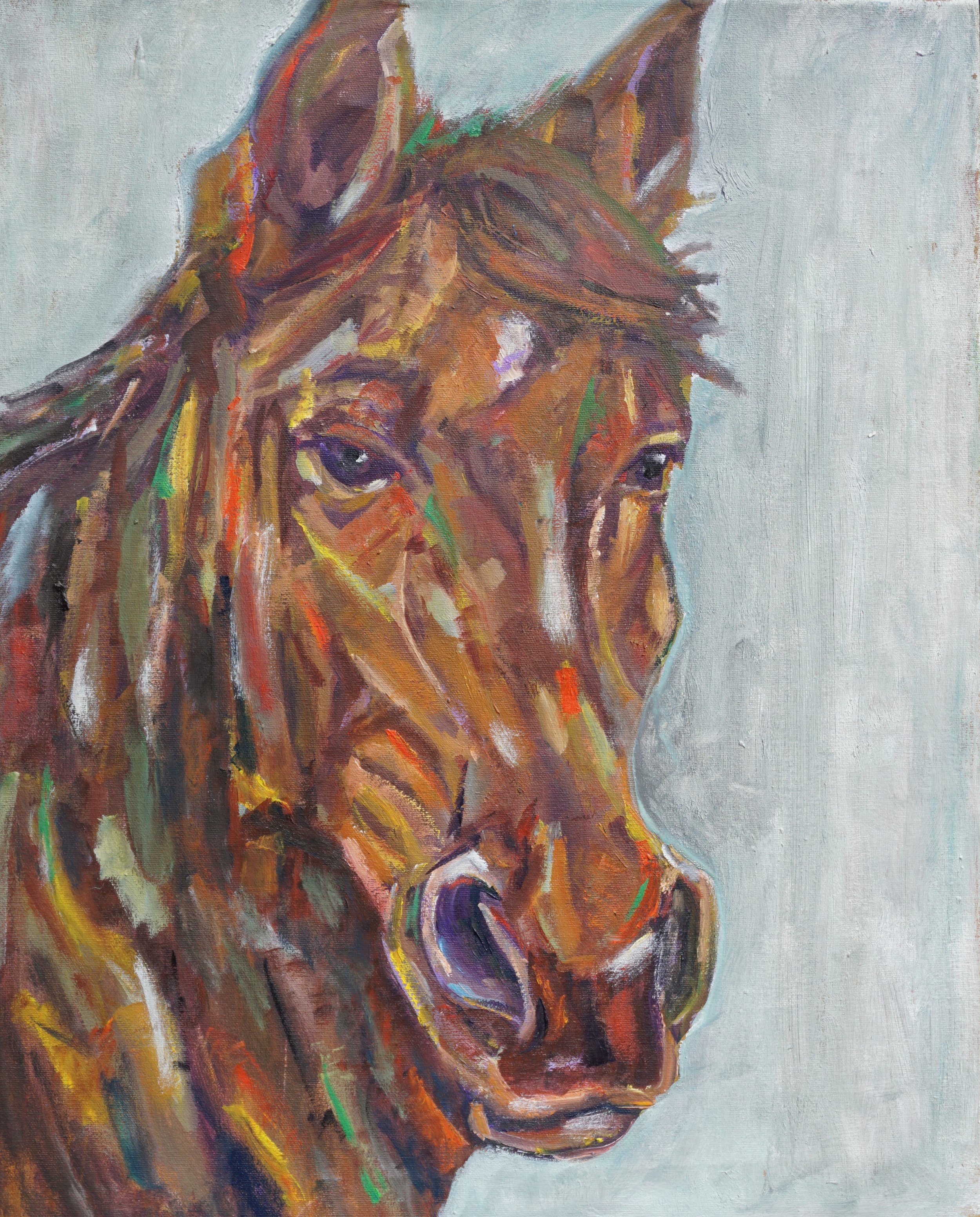 Horse Portrait #2