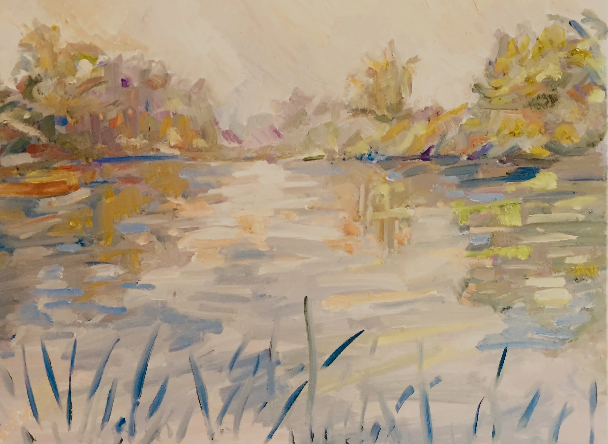 Mist over Buckingham Pond