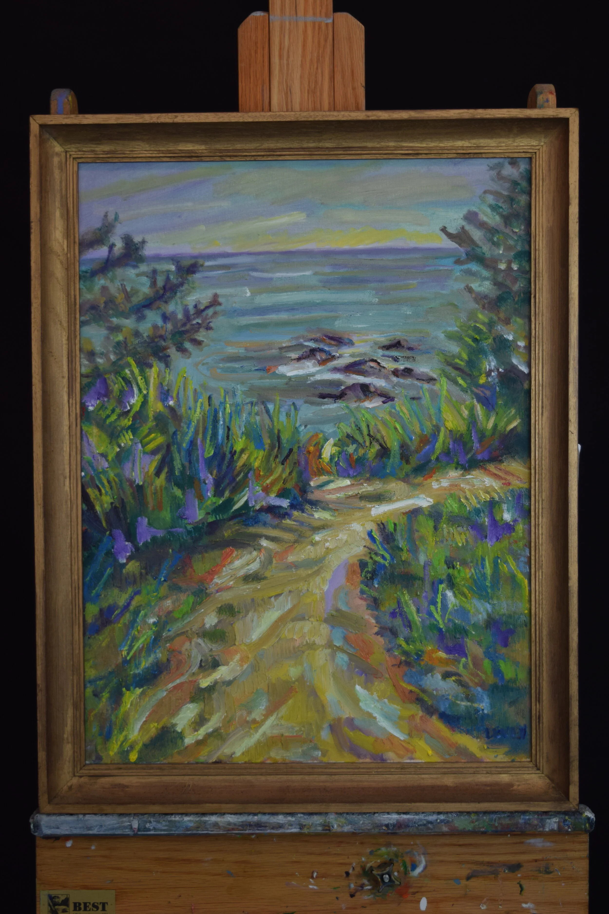 Path on the Cliffwalk
