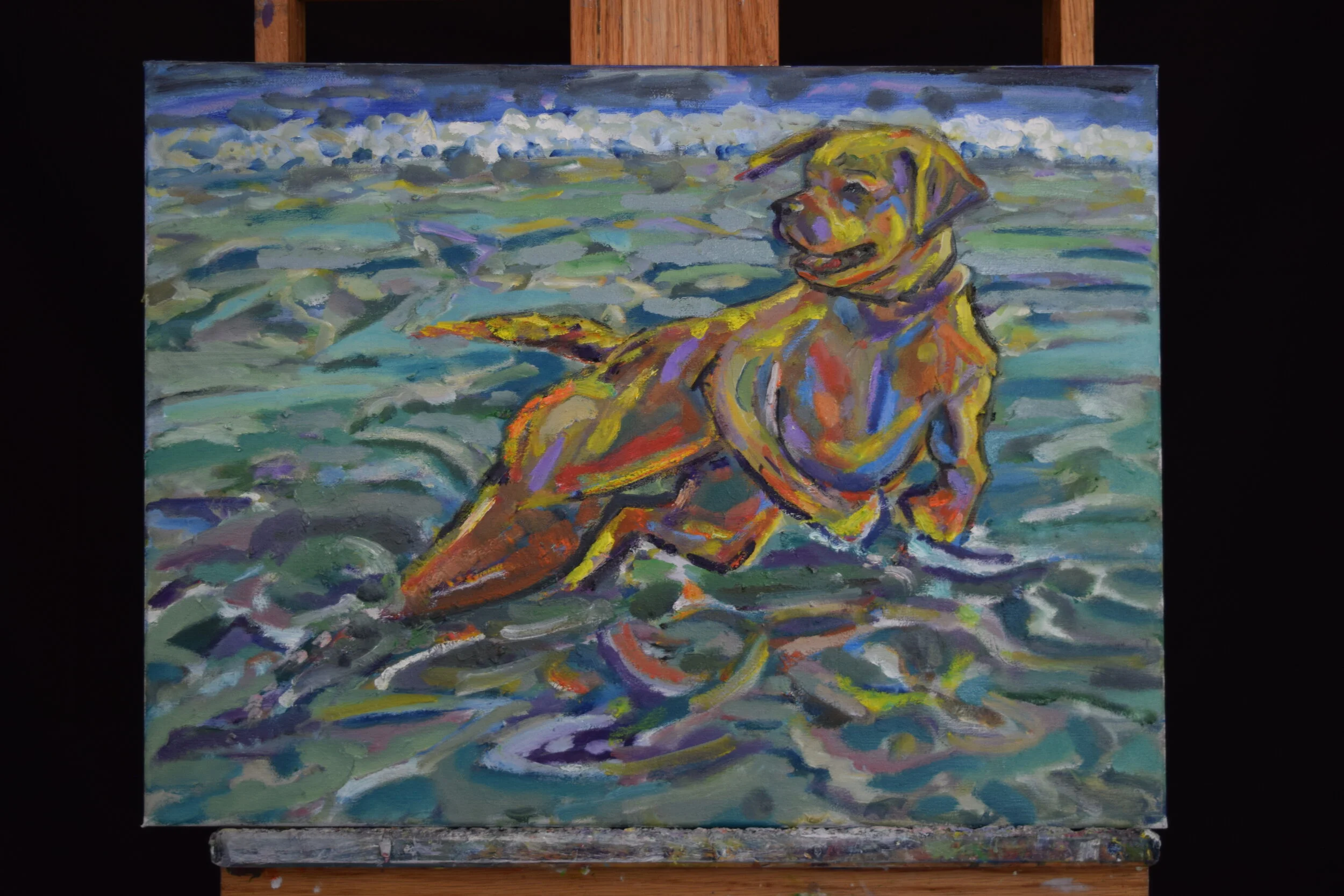 Dog at Play