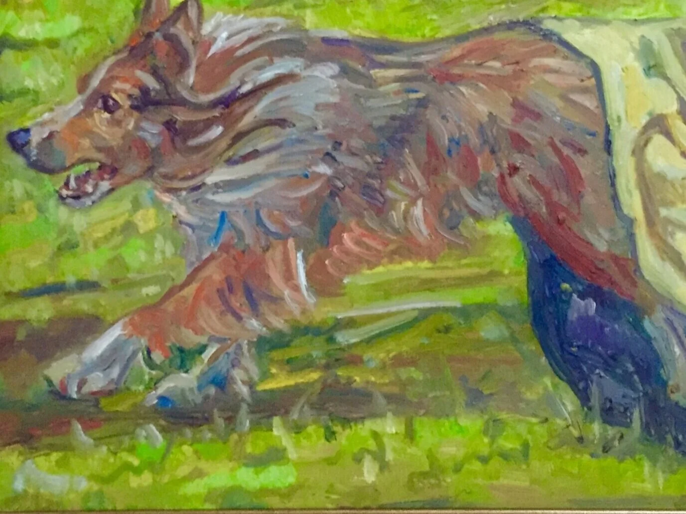 Griffin on the run