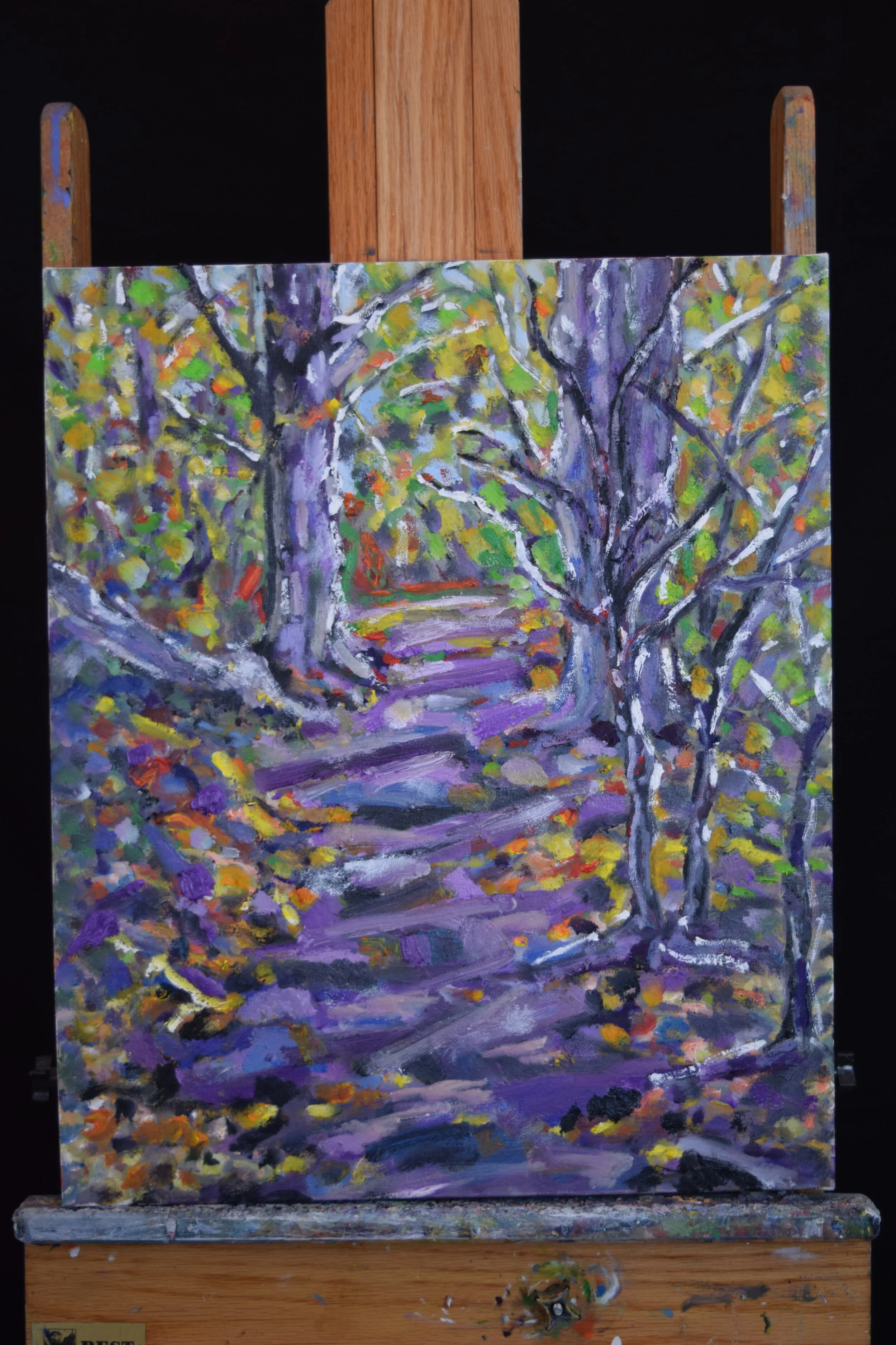 Fall at Buckingham Pond