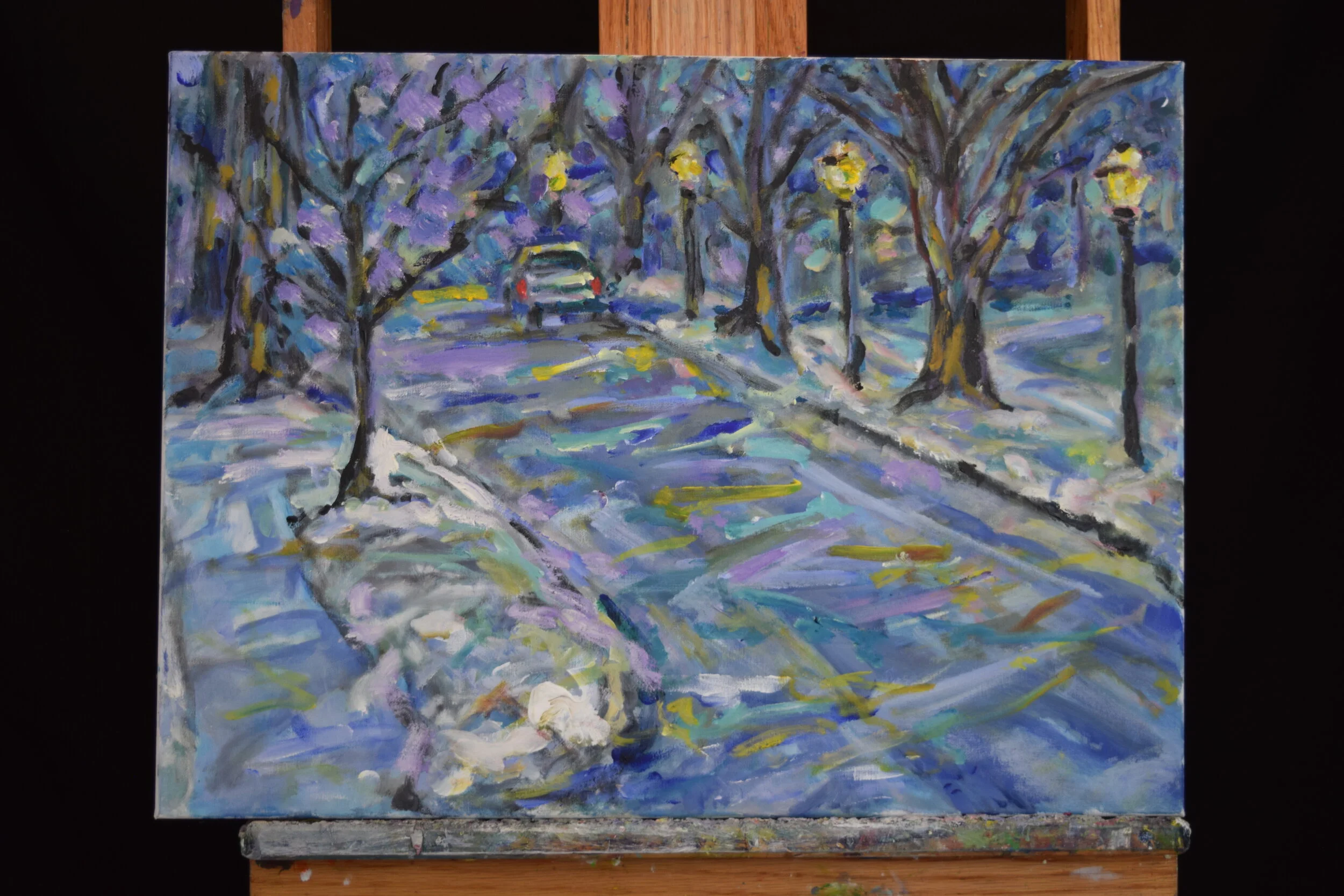 Snowy Night