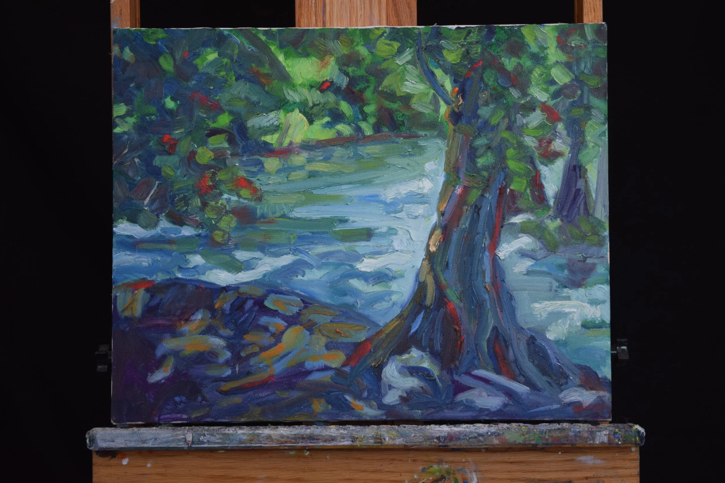 Forest Before the Trees