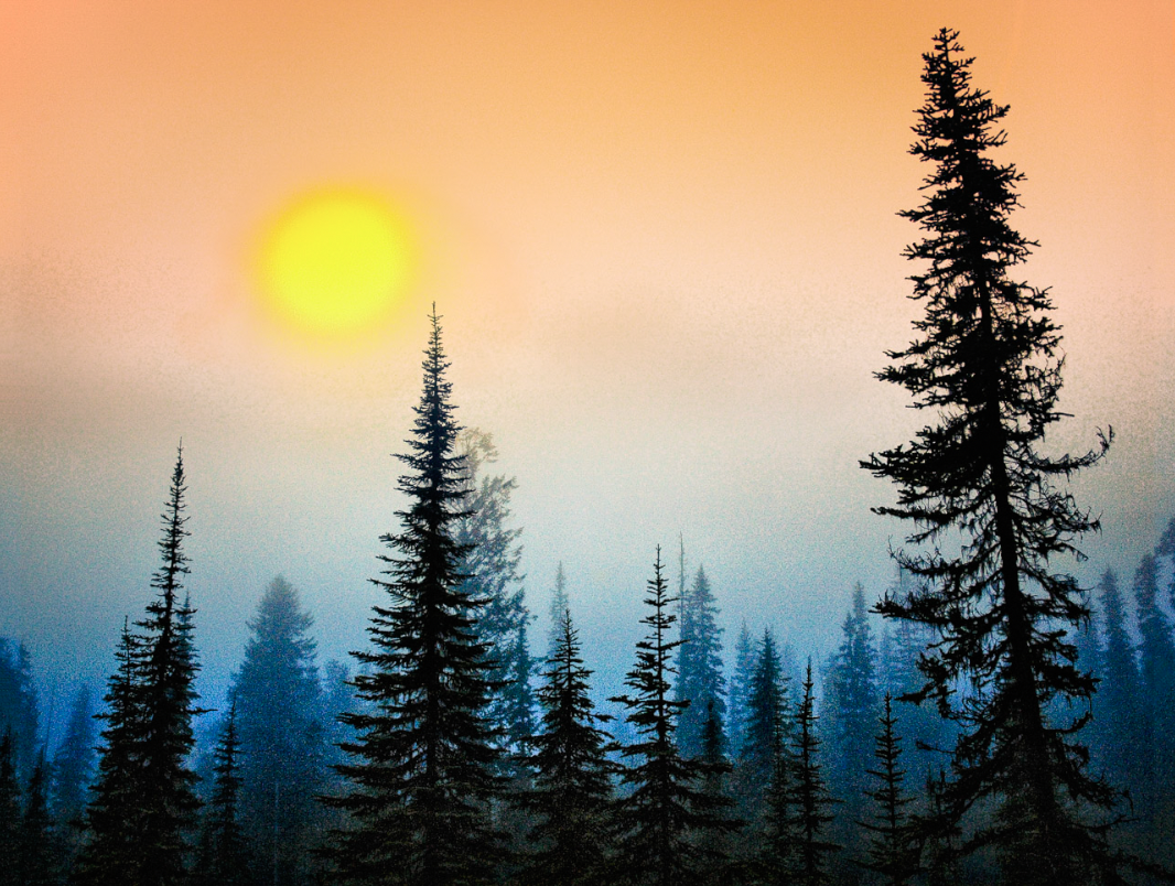 Evergreen Sunset.png