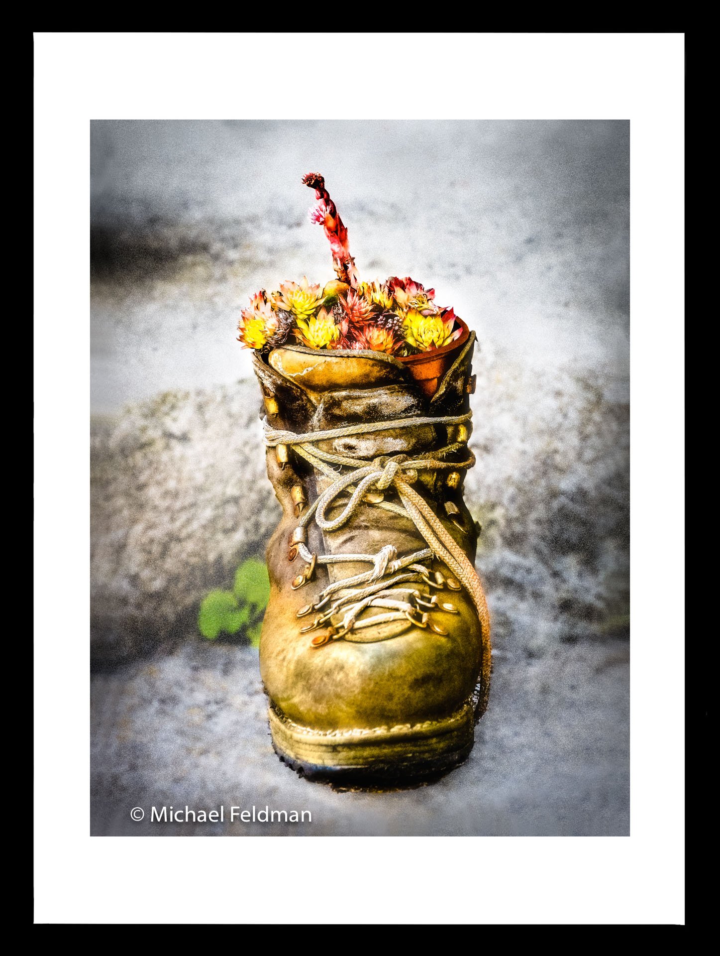 _DSC1263-##1-framed.jpg