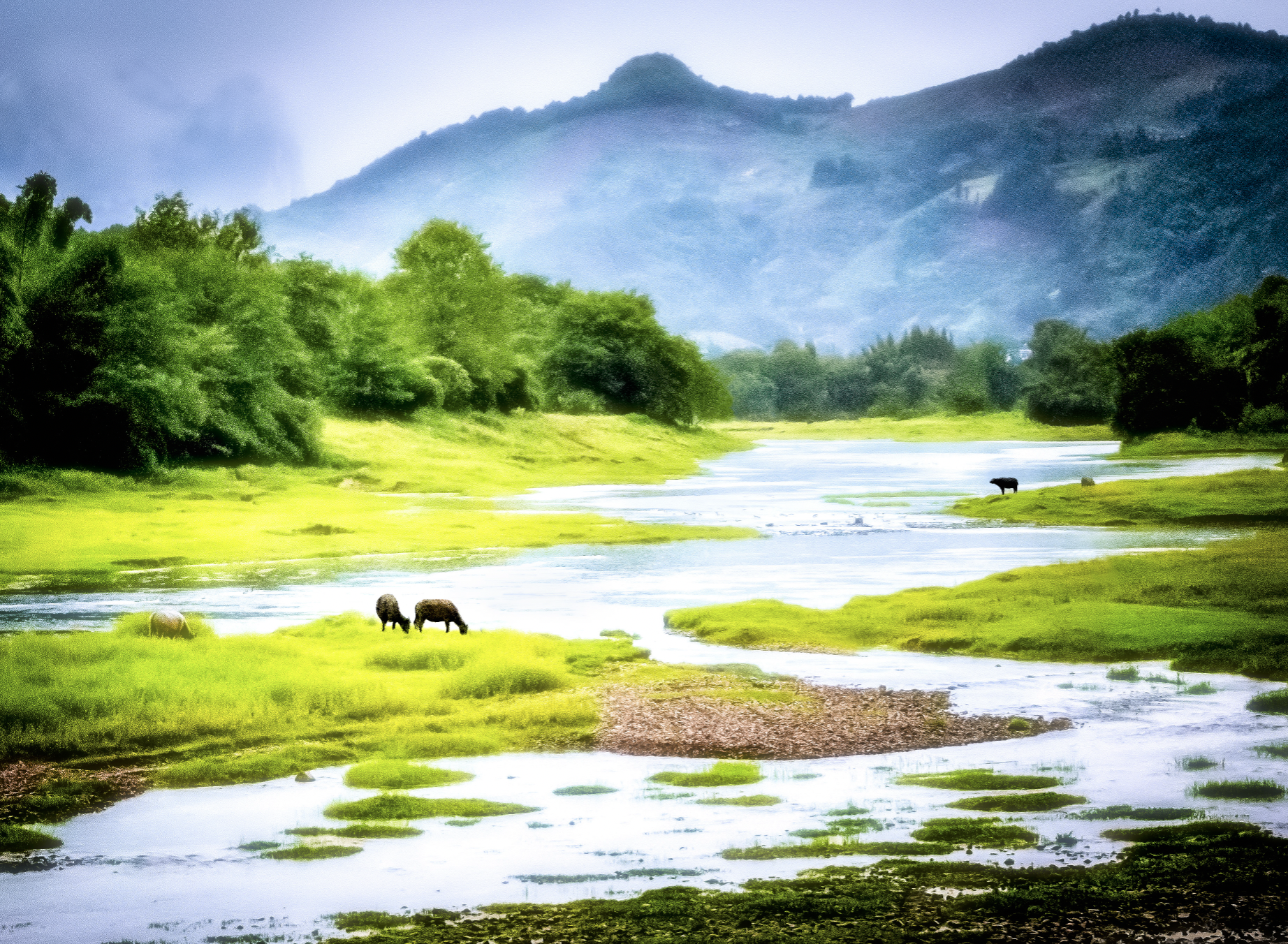 Screenshot 2026-02-28 at 5.03.05 PM.png