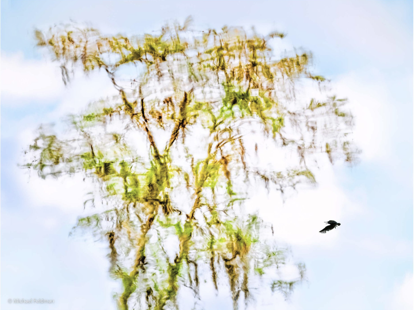 Screenshot 2026-02-23 at 3.47.05 PM.png