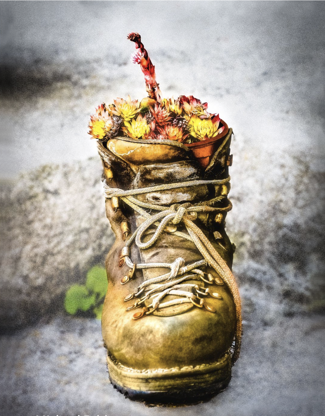 Screenshot 2026-03-02 at 9.16.21 PM.png