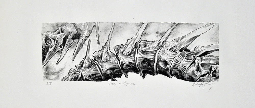 Fish in Space