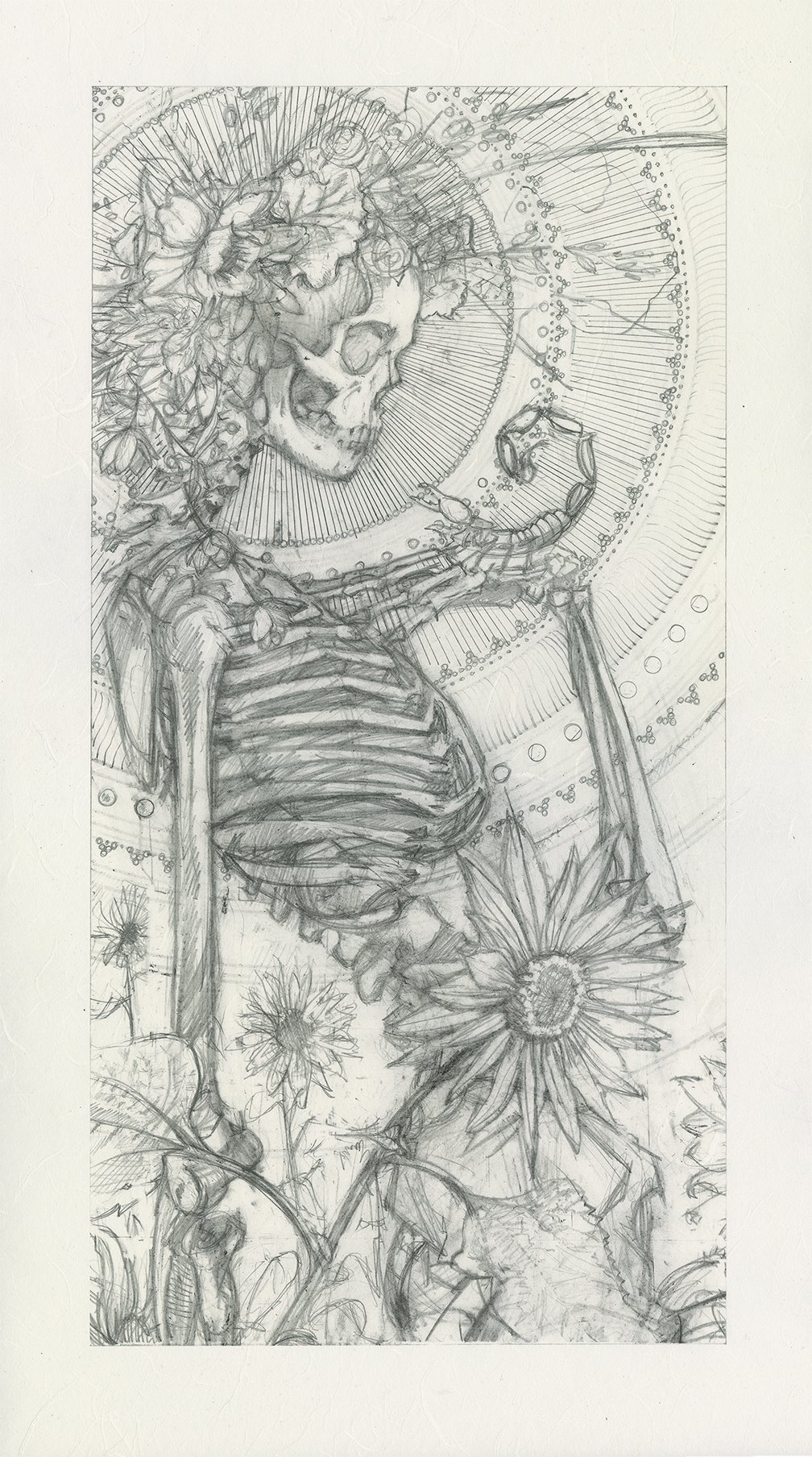 ScorpioGraphite_WEB copy.jpg