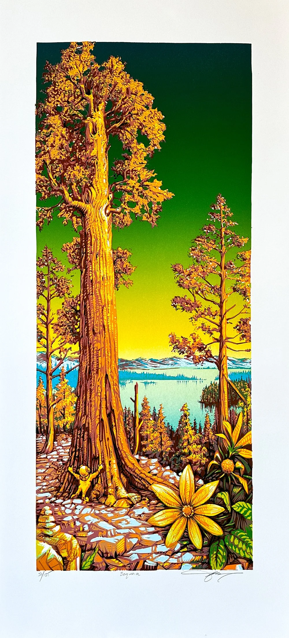 24Sequoia_GoldenHour.jpg
