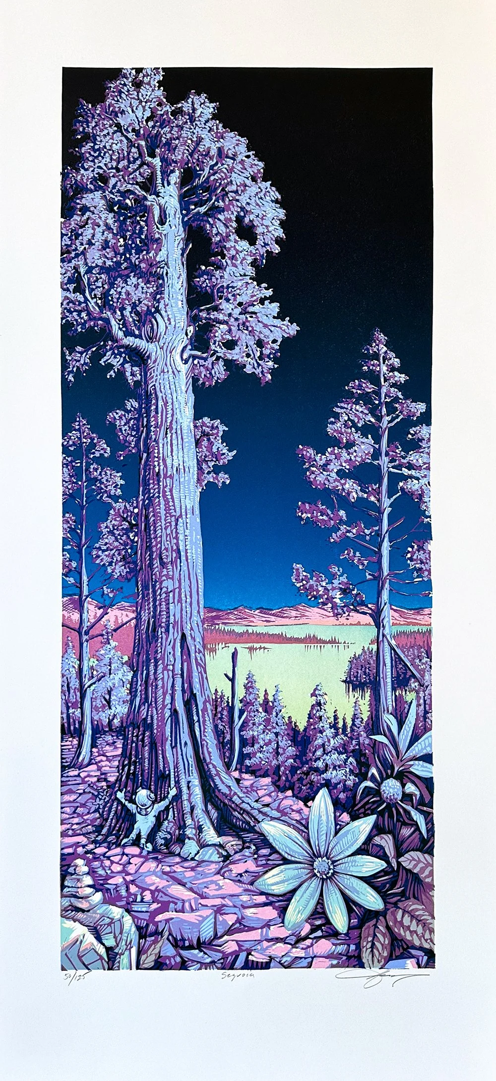 24Sequoia_Moonlight.jpg