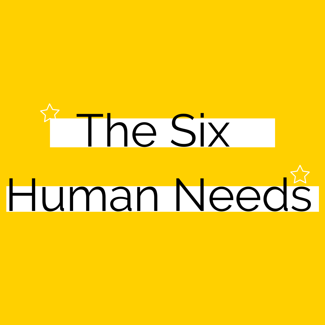 Your Six Human Needs - What Are Your Needs and Why Are Your Needs Important? 