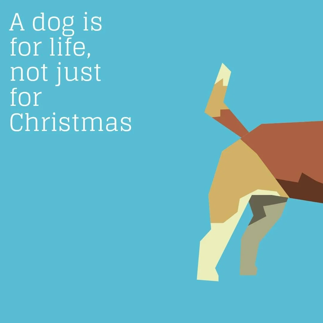If you're in the UK, then you've heard this one before - &quot;a dog is for life, not just for Christmas&quot;.

It's a reminder to not get caught up in the excitement of a new pup and then let that excitement wane in the New Year.

A call to do the 