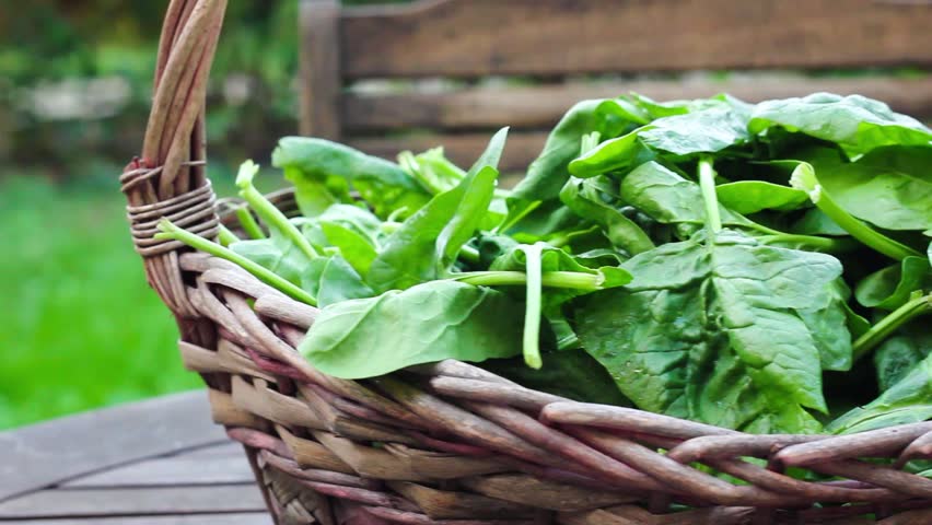 Spinach is loaded with nutrients and antioxidants!