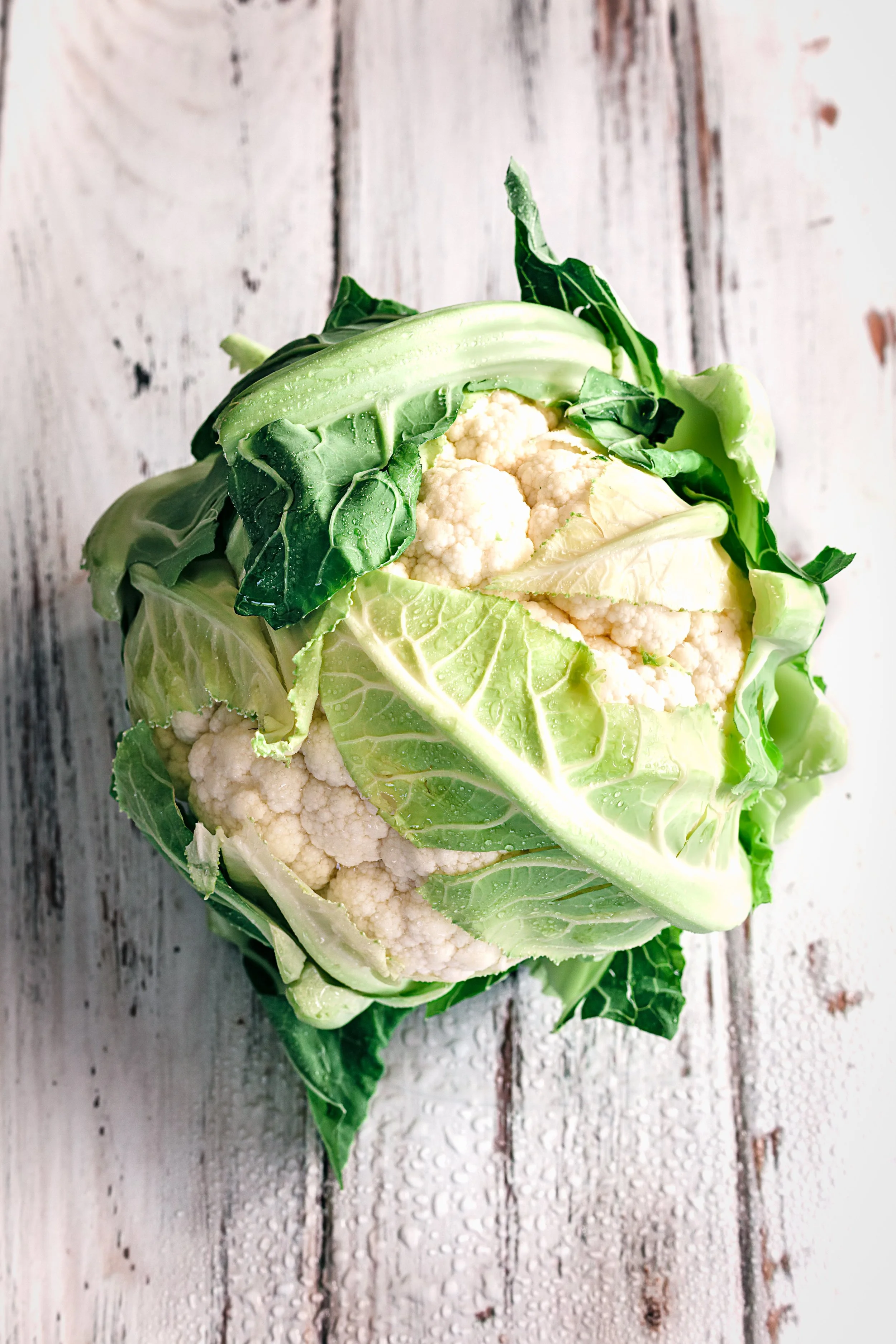 cauli.jpg
