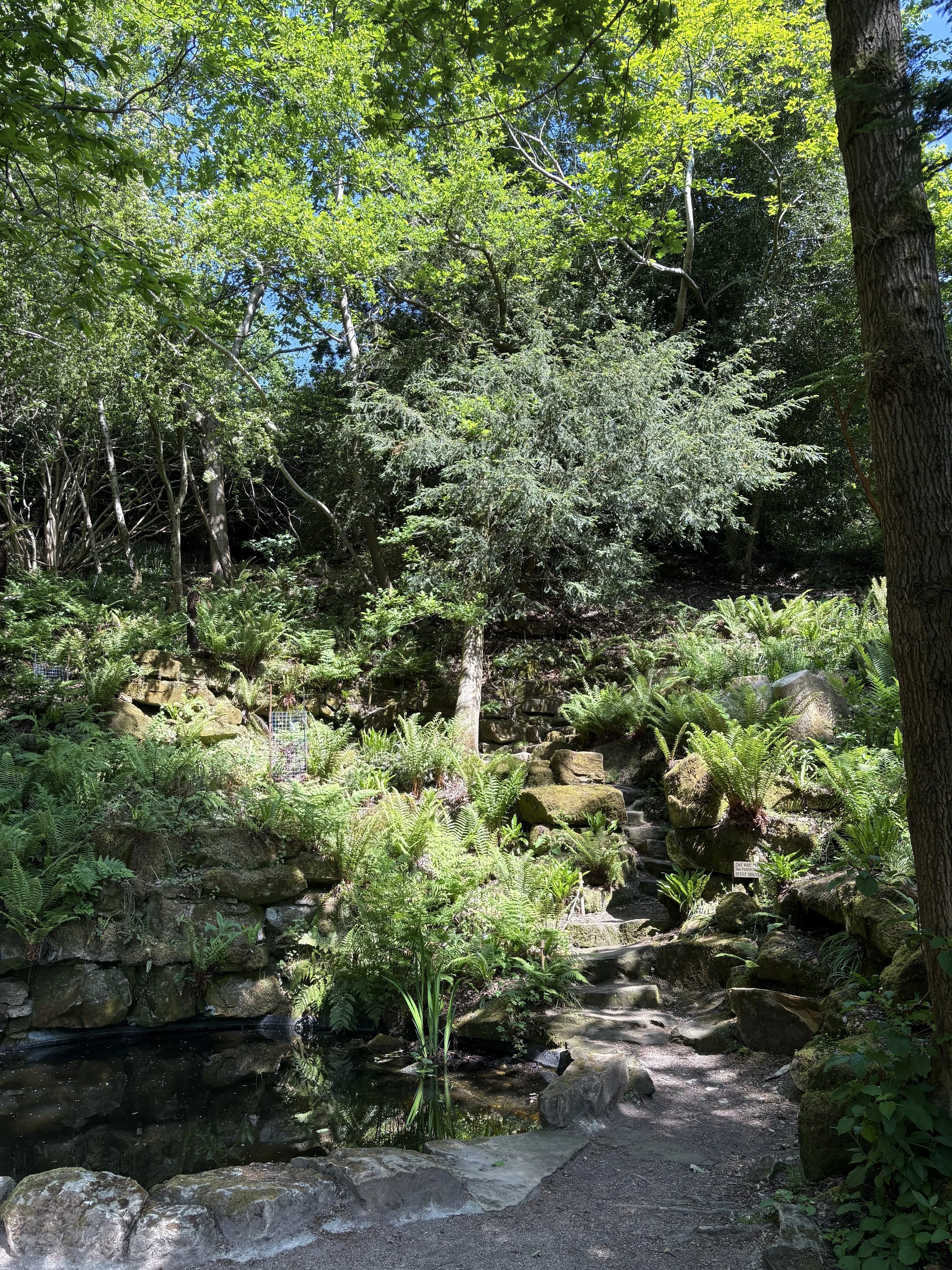 IMG_4317.jpeg