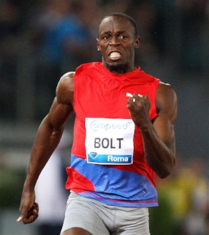 The Bolt