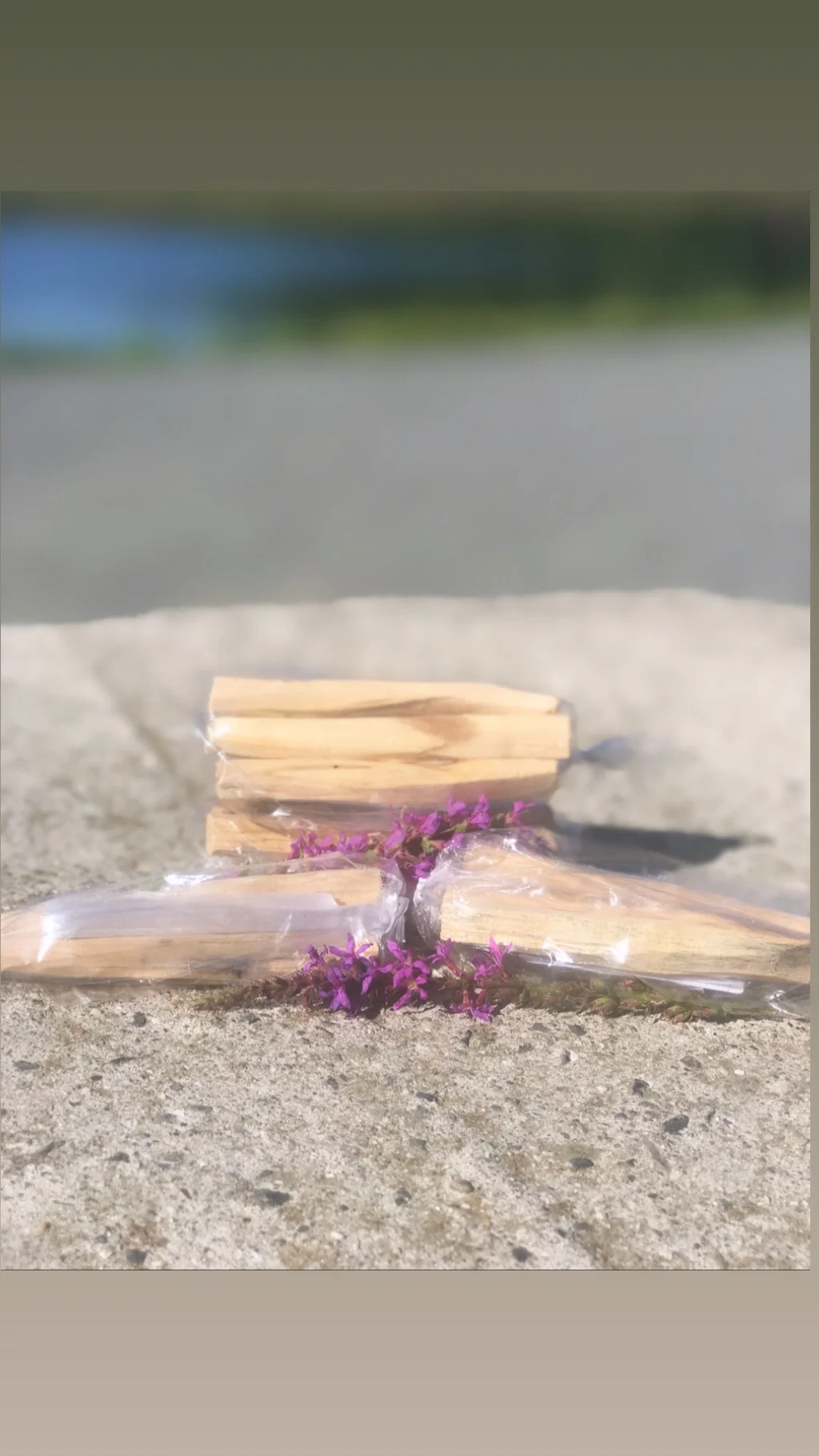 Palo Santo Sticks 