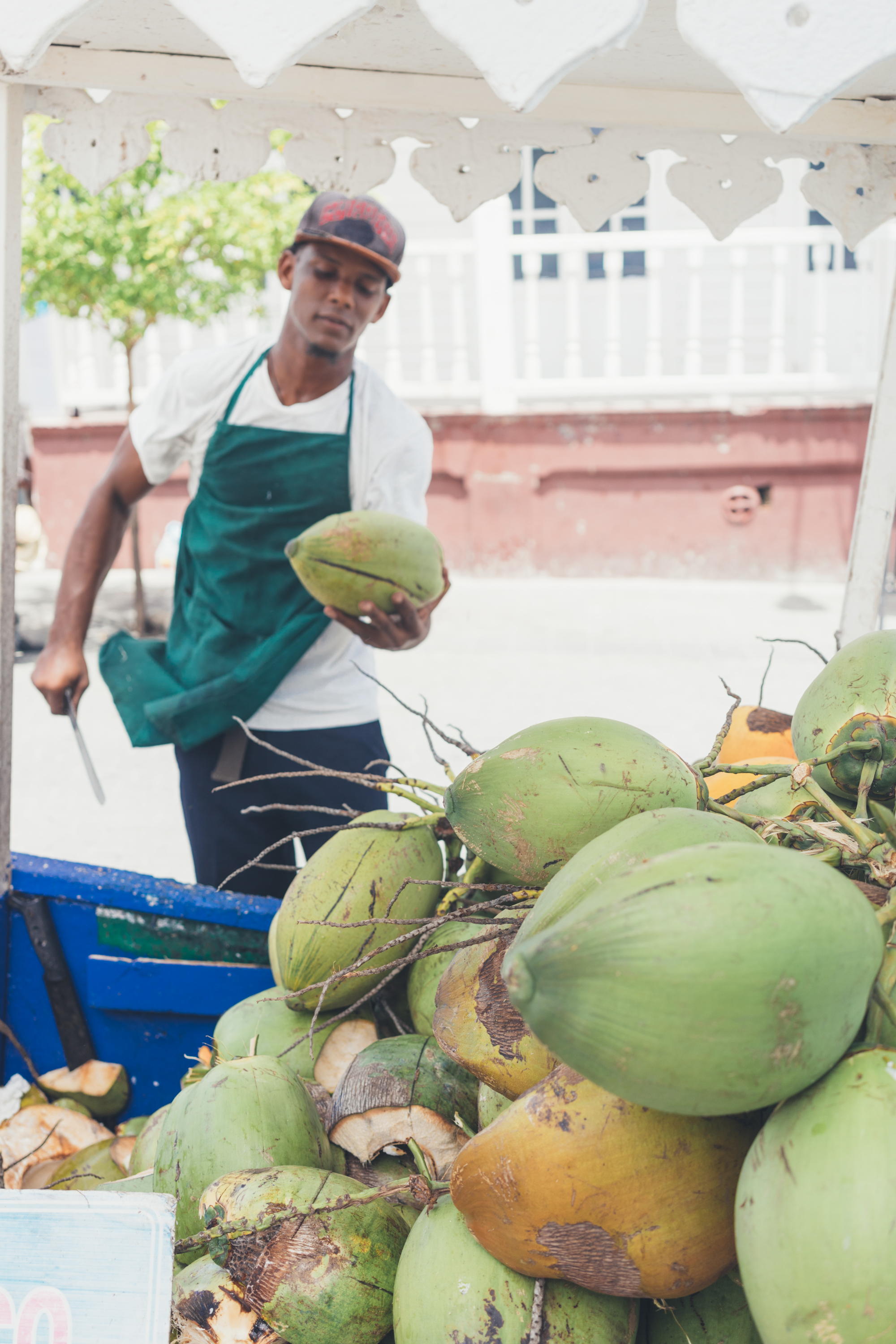 Things to do in Puerto Plata, Dominican Republic 