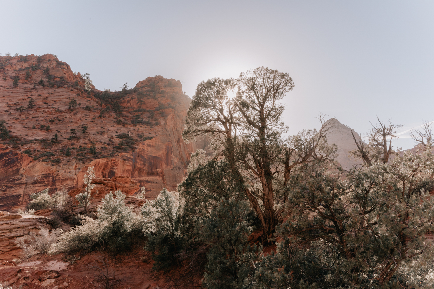 Zion National Park - Southwest Road Trip