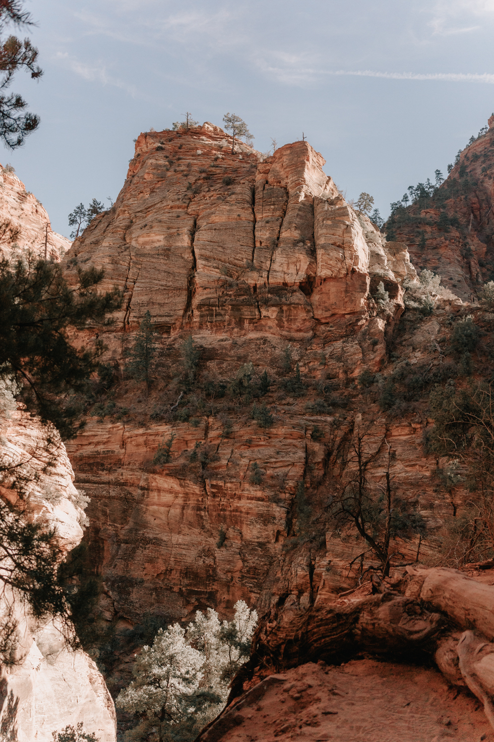 Zion National Park Overlook Trail