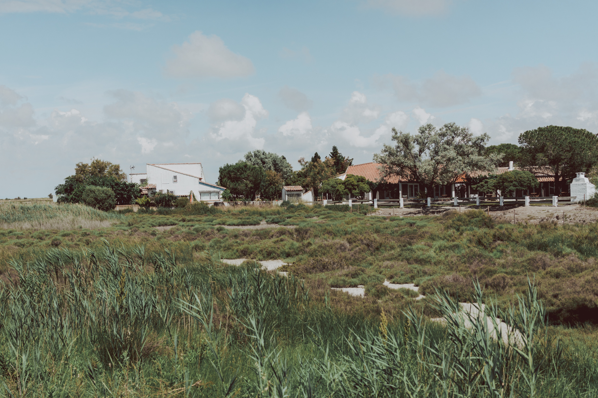 Camargue Horseback riding