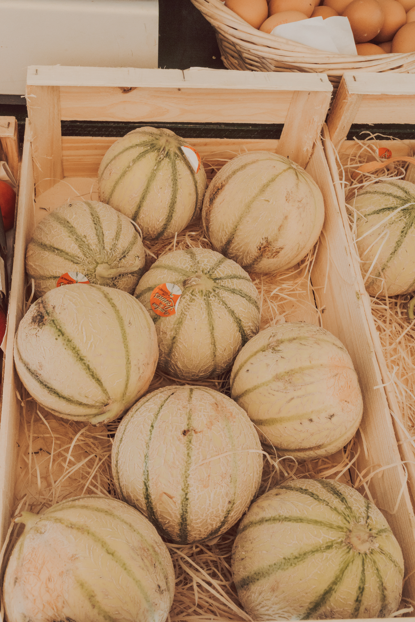 Provence Melon