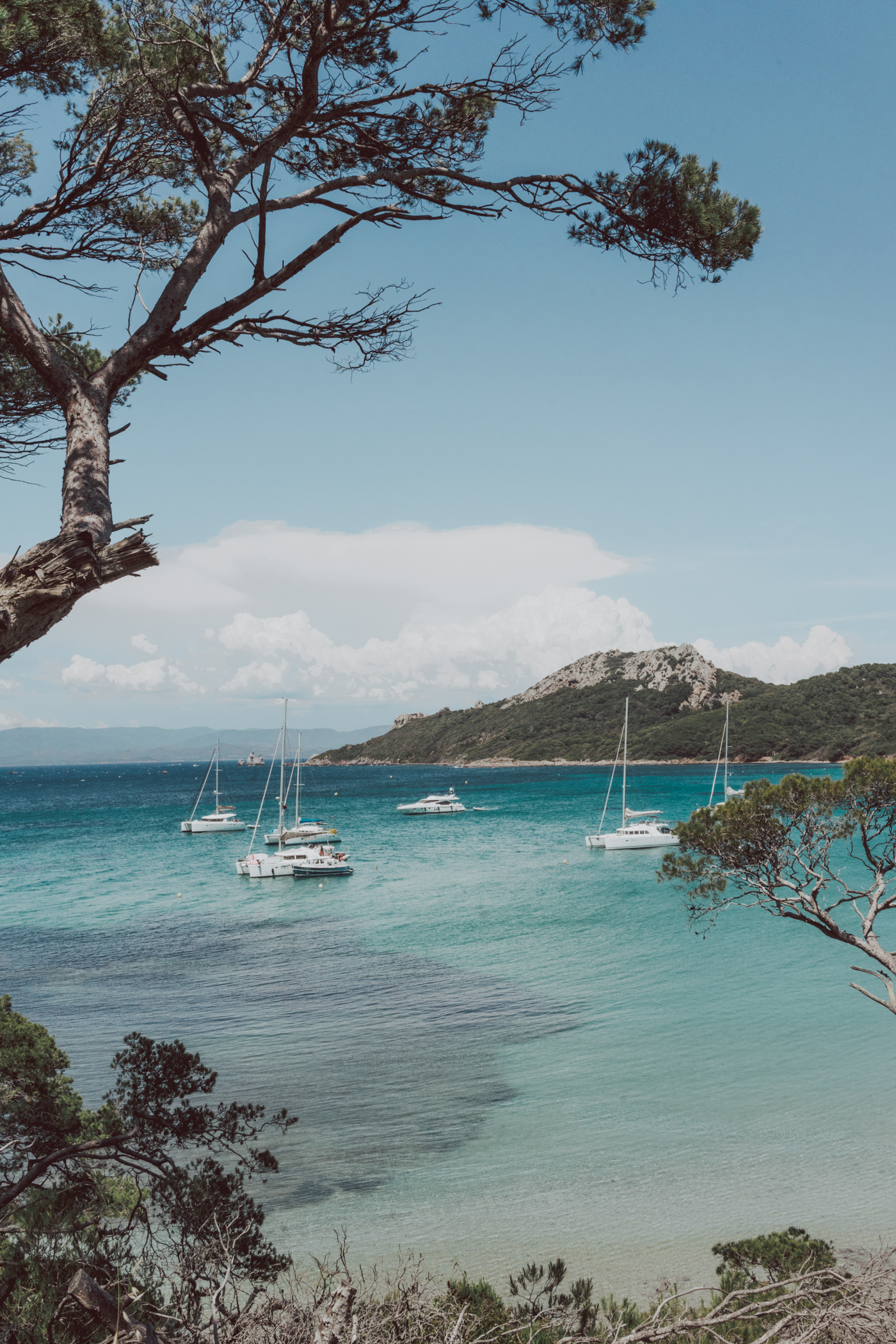 Hyeres Il de Porquerolles Market Beach Giens Things to do in Hyeres South of France - French Rivera #France #Provence #FrenchRivera #CotedAzur