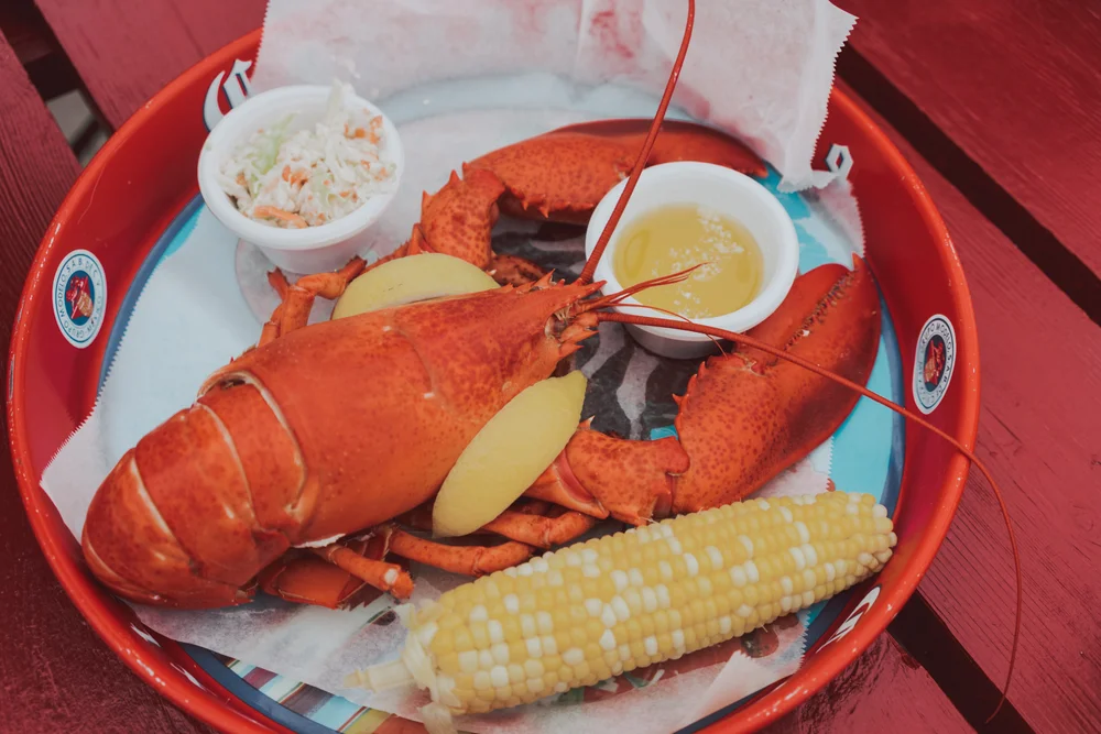 Foodie S Guide To Portland Maine Where To Dine And Wine In Between Pictures