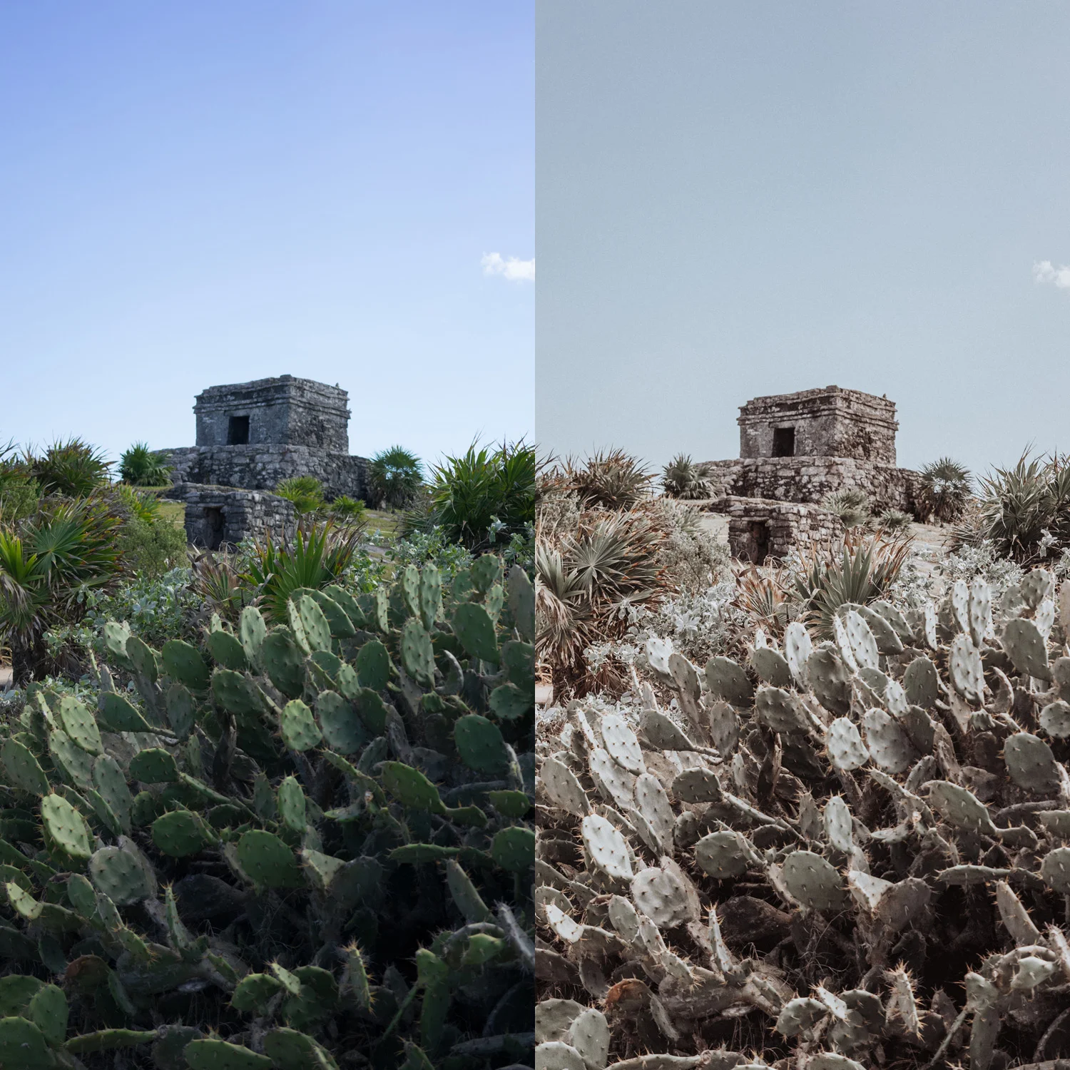 Untitled-2.jpg