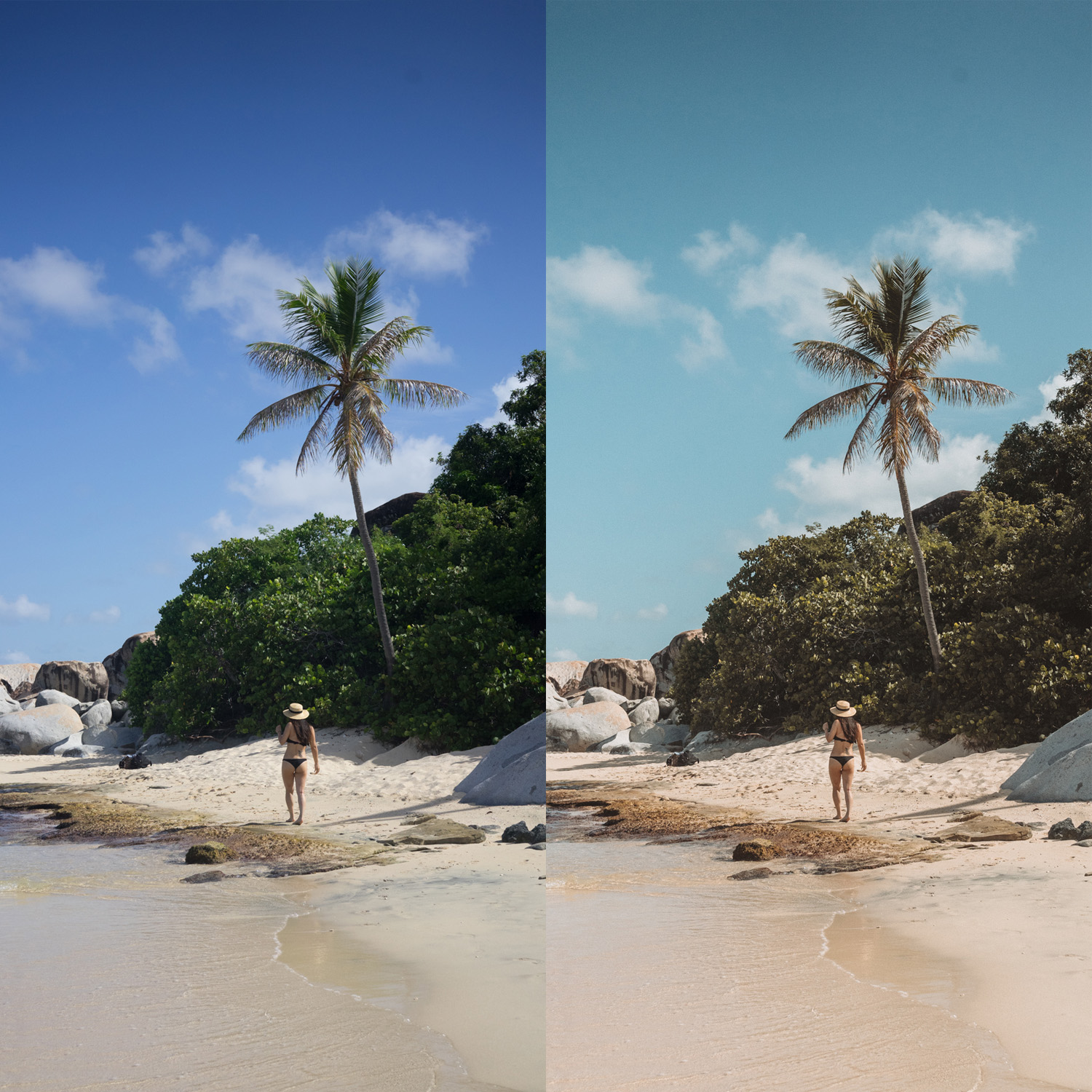Tropical Paradise Preset.jpg