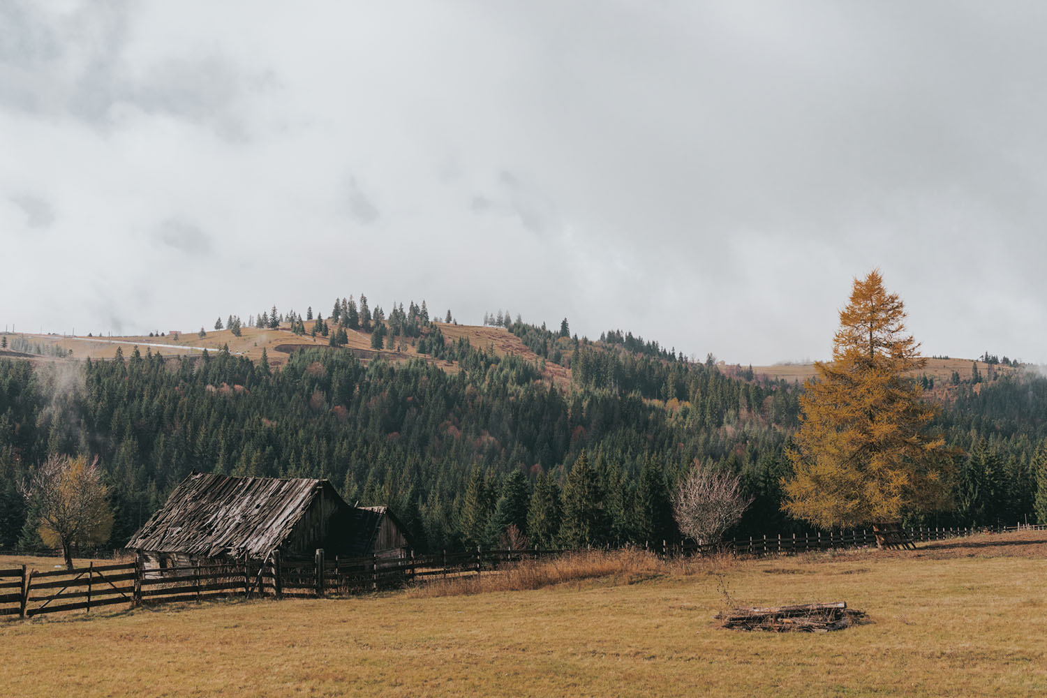 Bucovina Citadel Romania - Places and things to do on Romania Road Trip