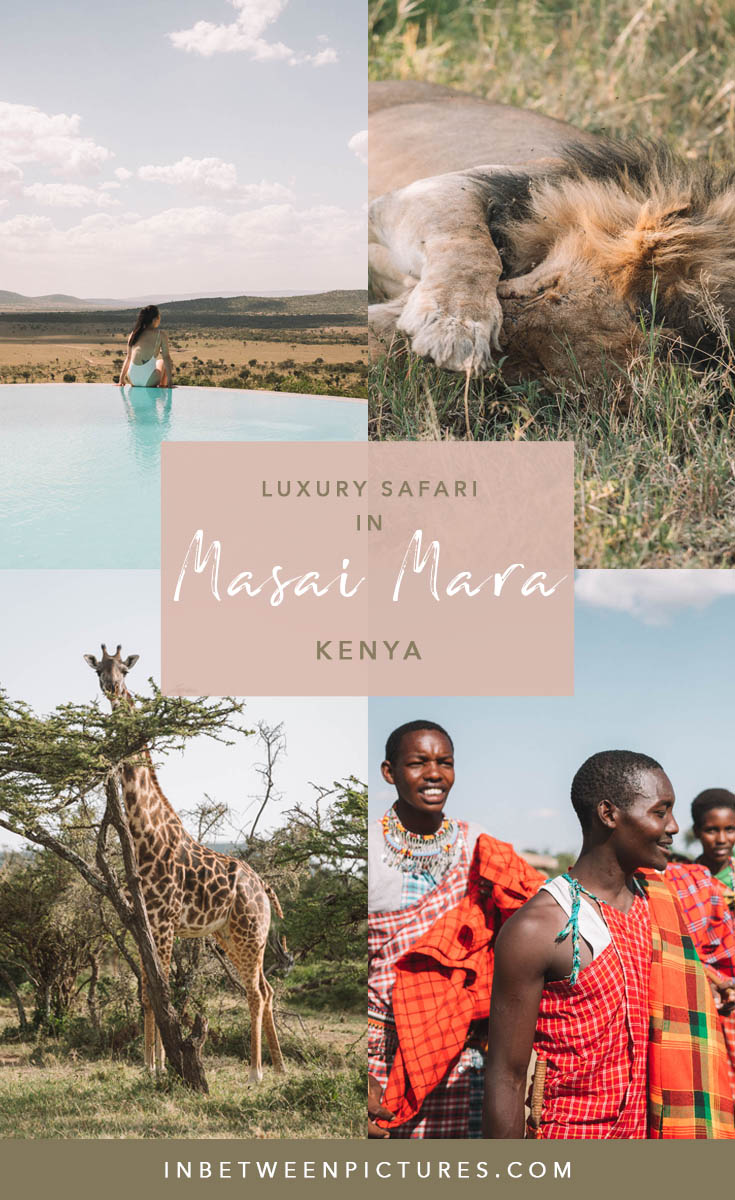 Kenya wildlife safari Masai Mara at a luxury Safari lodge #Safari #Africa #Kenya