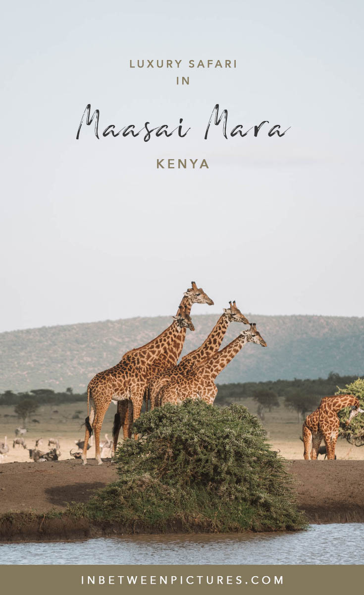 Luxury Kenya wildlife safari experience at Olarro Masai Mara  #Africa #Safari #Kenya