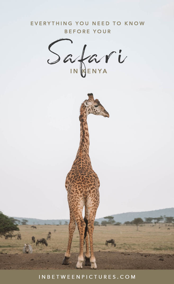 Everything you need to know before your Safari in Kenya - Tips, Recommendations, FAQ and guide to help you plan the perfect wild life safari in Africa #Kenya #Africa #Safari - Maasai Mara Adventures