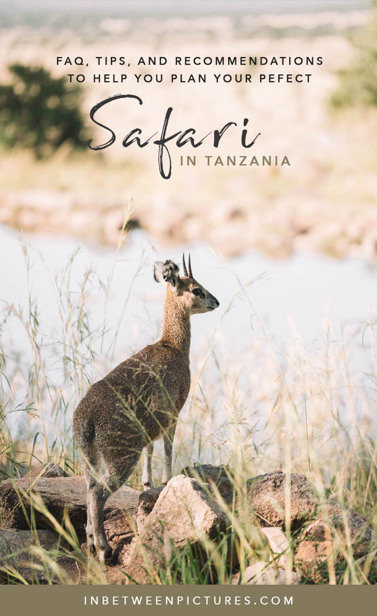 Everything you need to know before your Safari in Tanzania - Tips, Recommendations, FAQ and guide to plan your wild life safari in Africa #Tanzania #Africa #Safari - Serengeti National Park Adventures