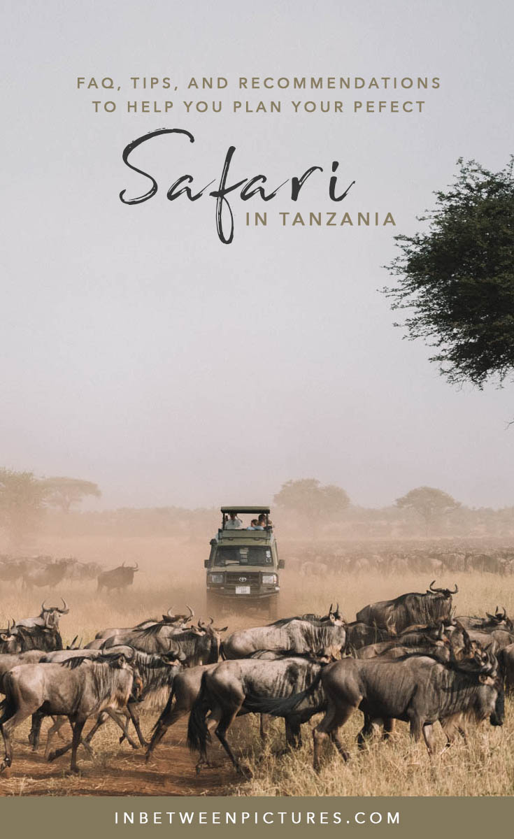 Everything you need to know before your Safari in Tanzania - Tips, Recommendations, FAQ and guide to plan your wild life safari in Africa #Tanzania #Africa #Safari - Serengeti National Park Adventures