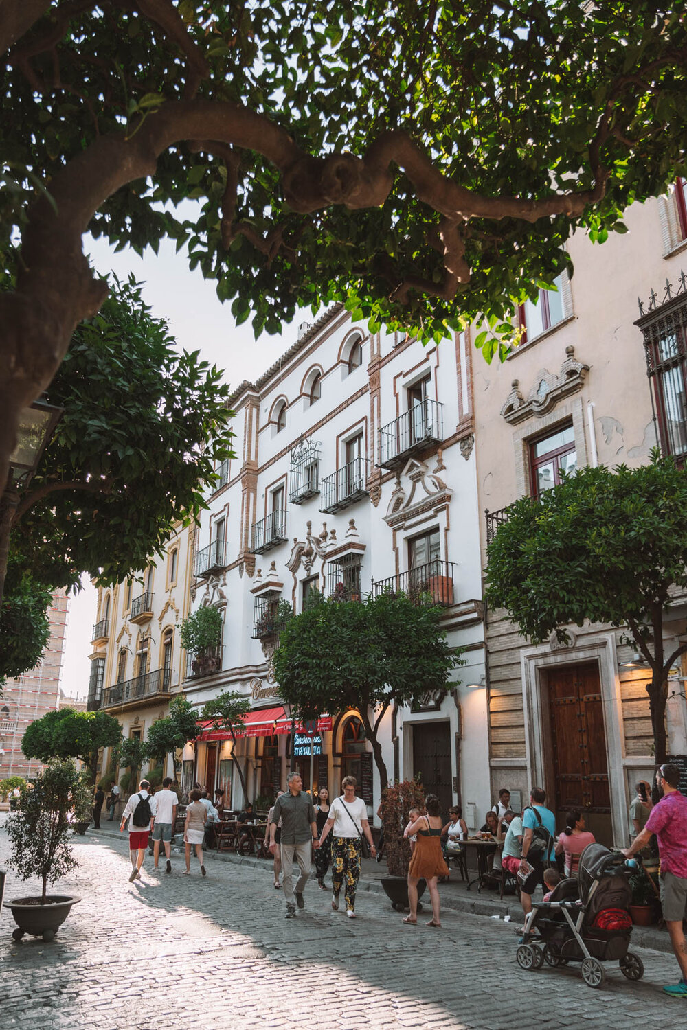 Best things to do in Seville Spain