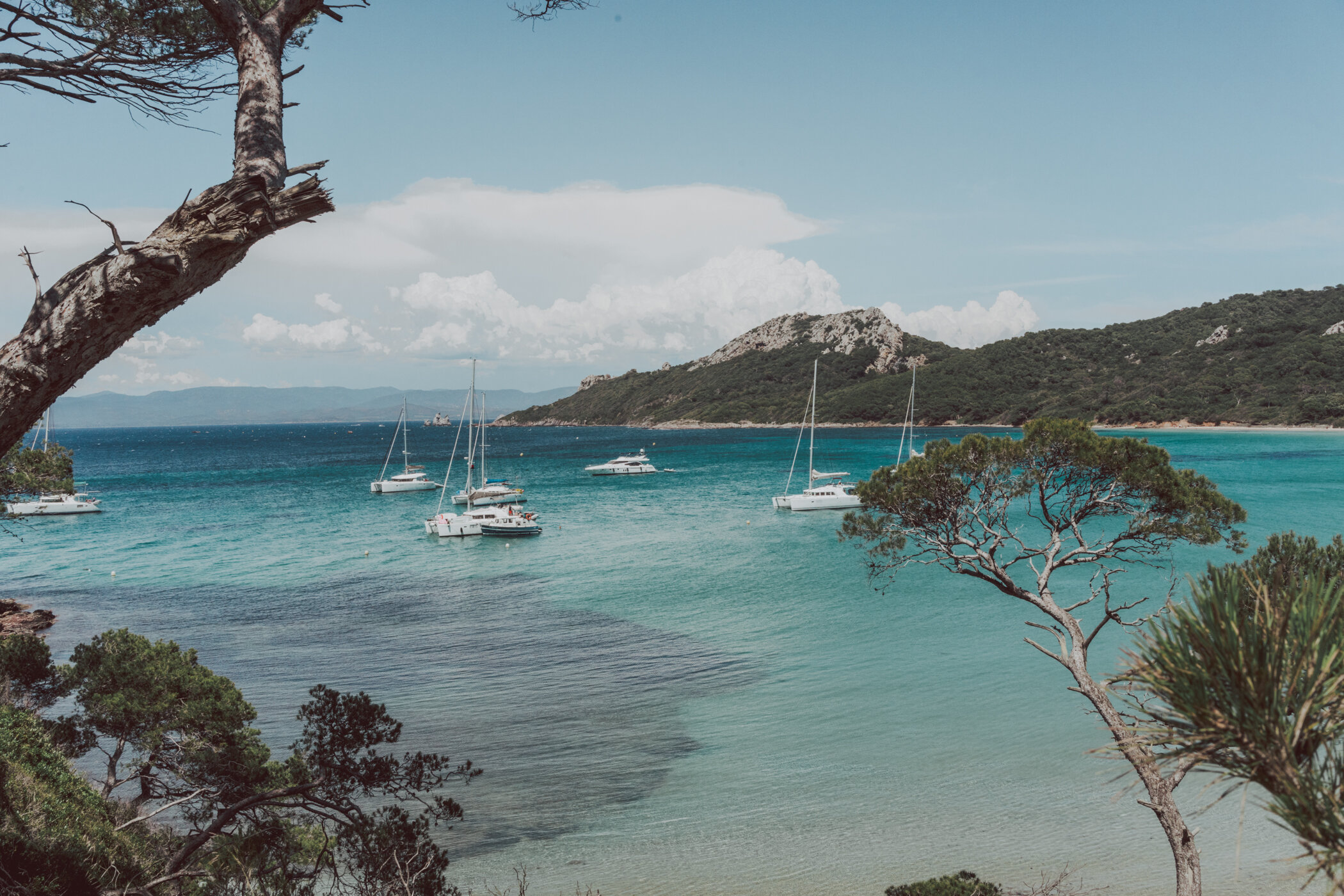 Ile de Porquerolles - 19 Underrated And Beautiful Cities in France You Need To Visit&nbsp;