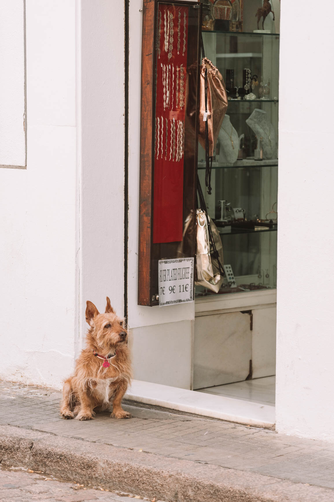 Day trip from Seville to Granada without a car