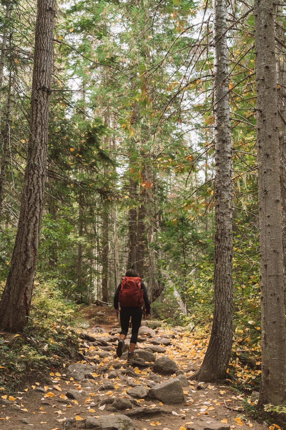 Beginner’s Guide to Fall Hiking Outfit for Women