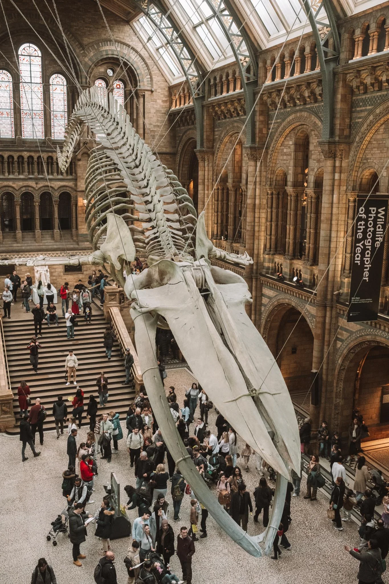 London Natural History Museum
