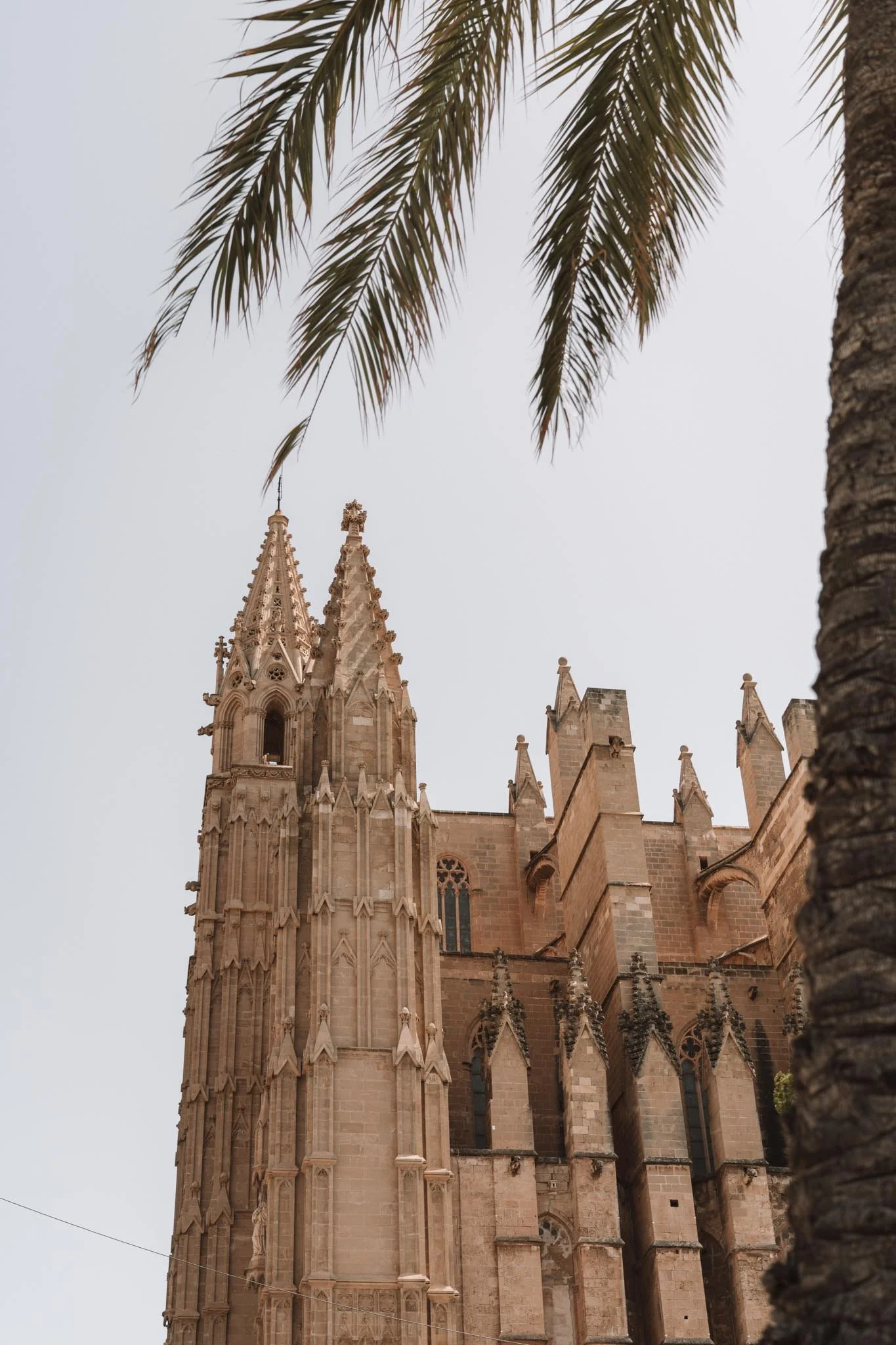 Palma Mallorca Cathedral Old Town