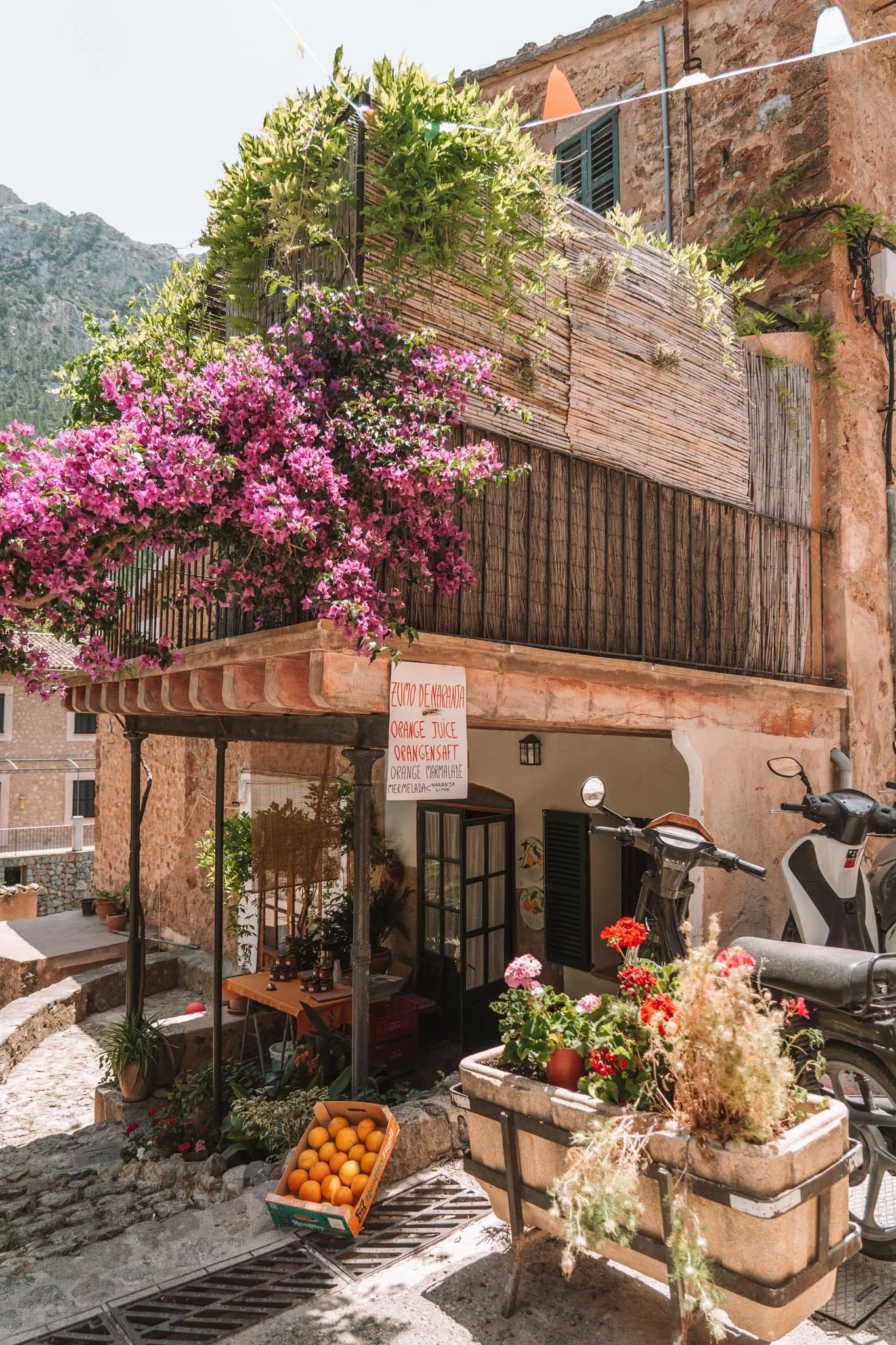 Mallorca Tramuntana Valldemosa Deia Soller 